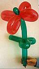 Blume